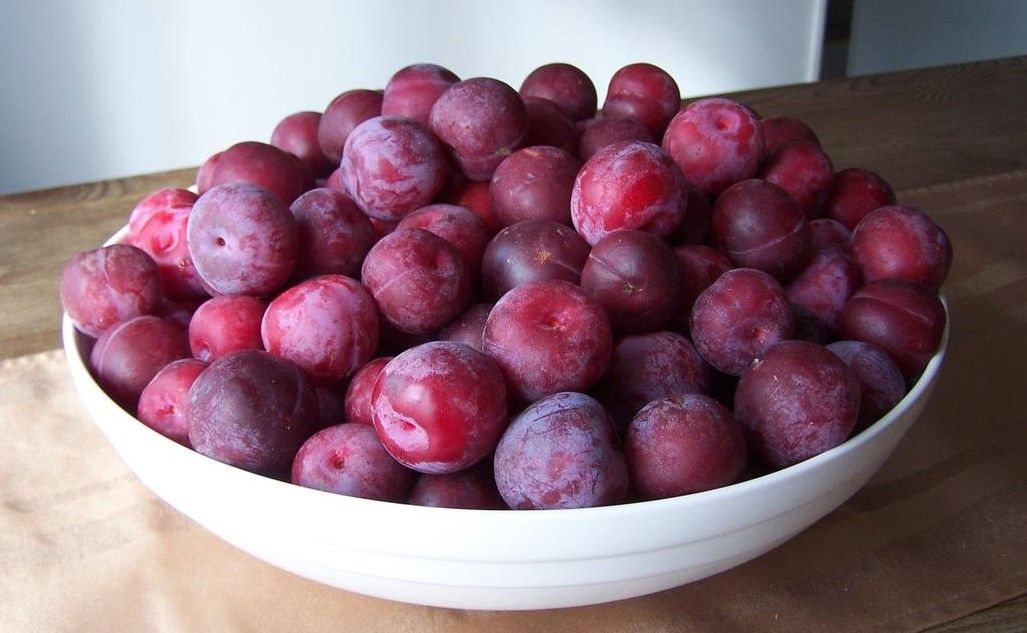 Menopause Nutrition Plan