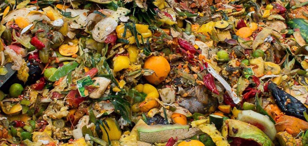 Reduce-Food-waste-1060