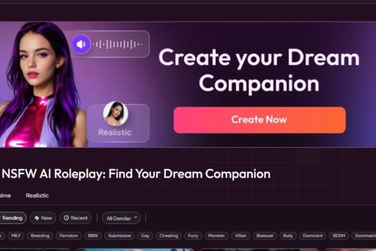 Mydreamcompanion NSFW Chat
