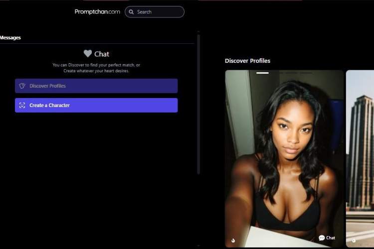 Promptchan AI Sexting
