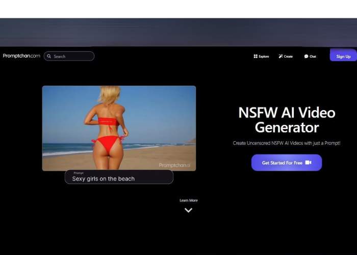 Promptchan Video Generator