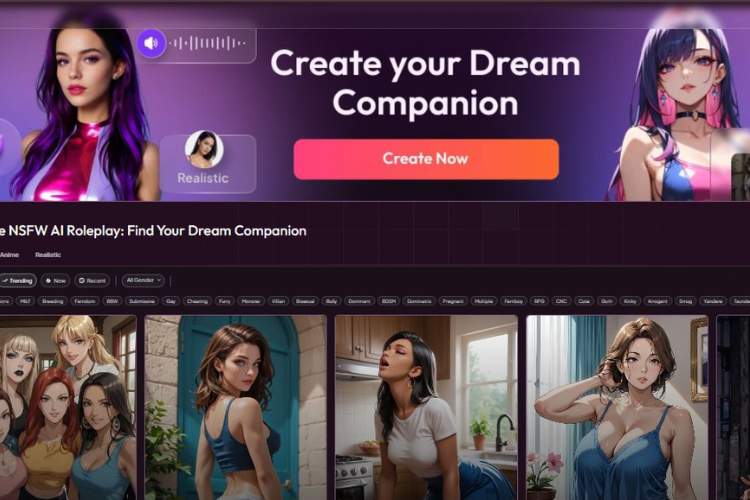 MyDreamCompanion