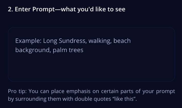 step2 - enter prompt