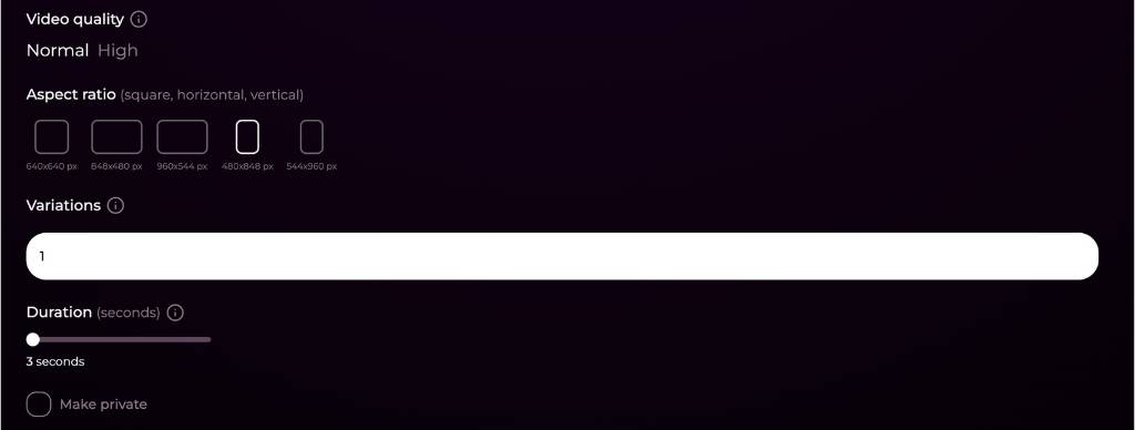 step3 - select video quality, aspect ratio, duration, variations