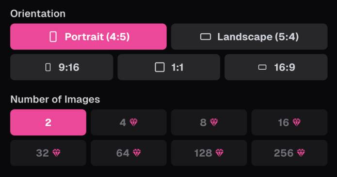 step4 - choose image orientation and number of images