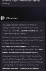 This MyDreamCompanion AI chatbot interaction captures a slower, more intimate exchange, where the AI generated character Willow Jasper expresses a desire to take things at a mutual pace.